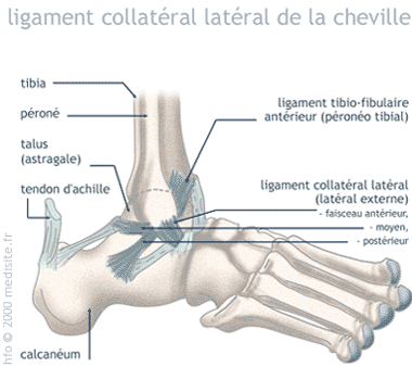 Ligamentoplastie - Centre Orthopédique Pasteur Lanroze